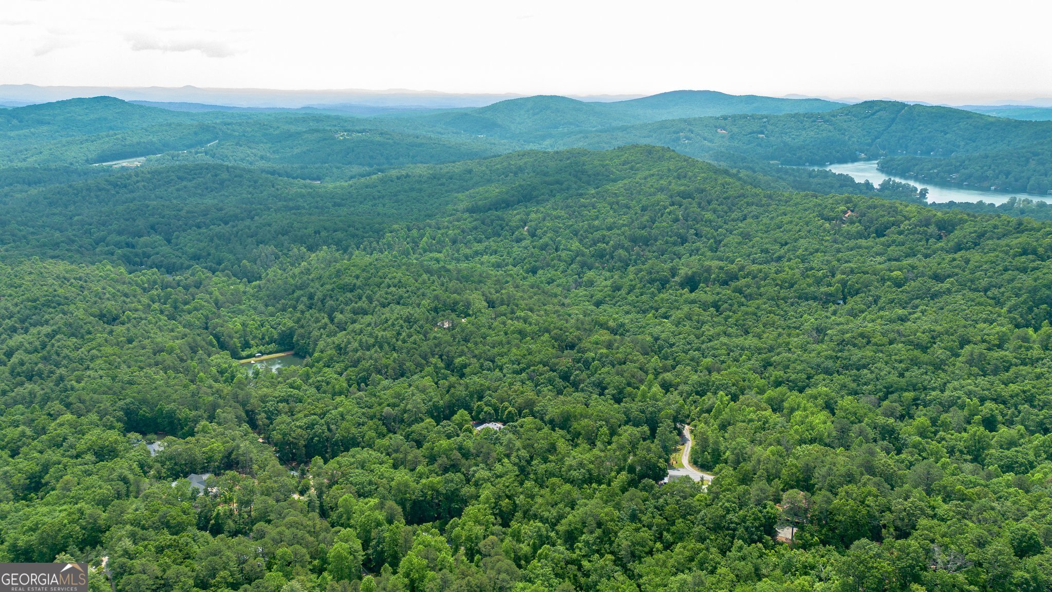 0 Grizzly Ridge Road Lakemont, GA 30552 - Photo 24 of 75 a view of a lush green field with lots of palm trees