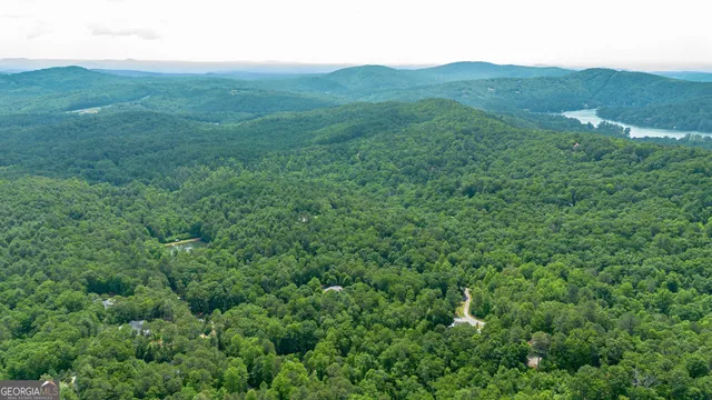 a view of a lush green forest with trees in the background
