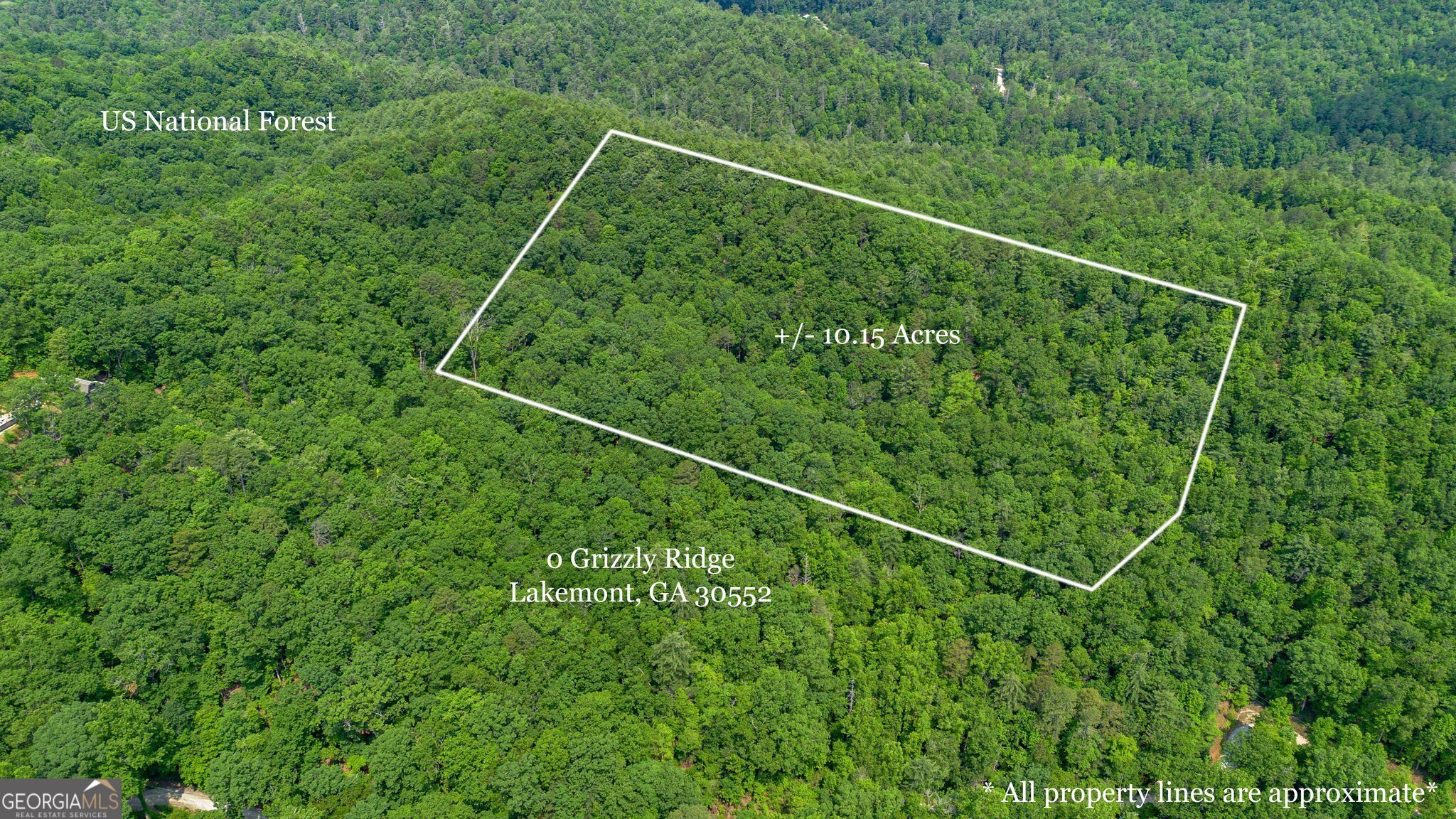 0 Grizzly Ridge Road Lakemont, GA 30552 - Photo 3 of 75