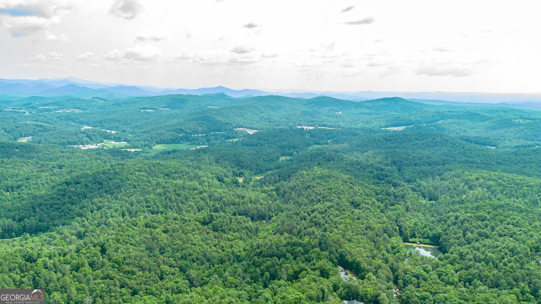 0 Grizzly Ridge Road Lakemont, GA 30552 - Photo 31 of 75 a view of a big green field with lots of bushes