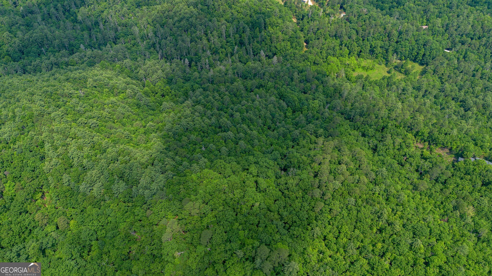 0 Grizzly Ridge Road Lakemont, GA 30552 - Photo 32 of 75 a view of a lush green forest