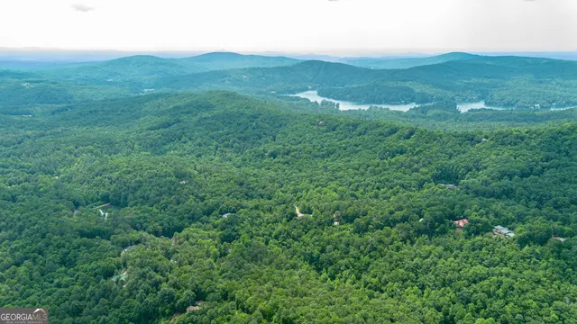 a front view of a house with yard and green space
