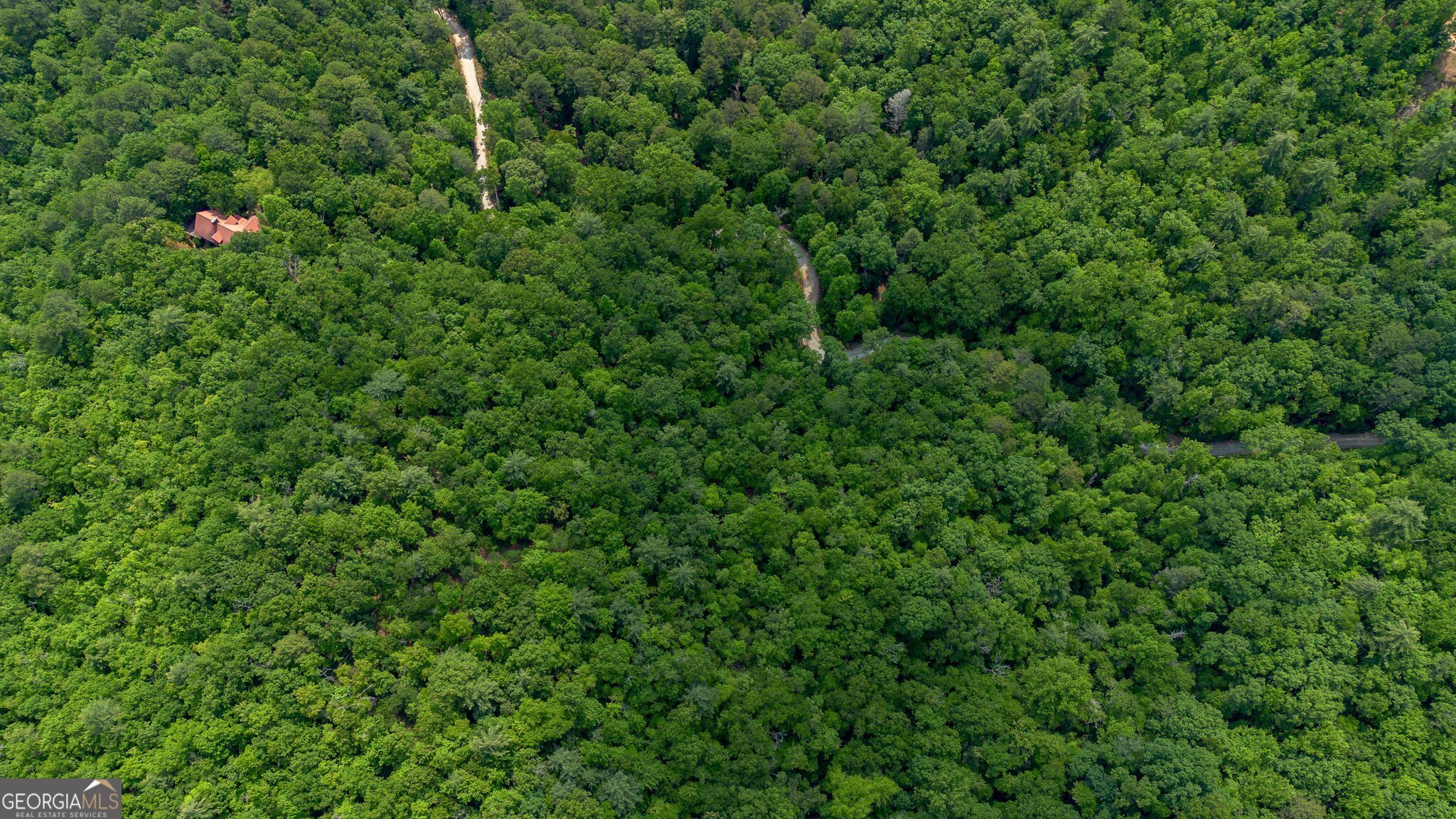 0 Grizzly Ridge Road Lakemont, GA 30552 - Photo 39 of 75 a view of a lush green forest