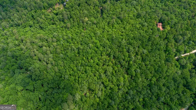 a view of a backyard with a garden