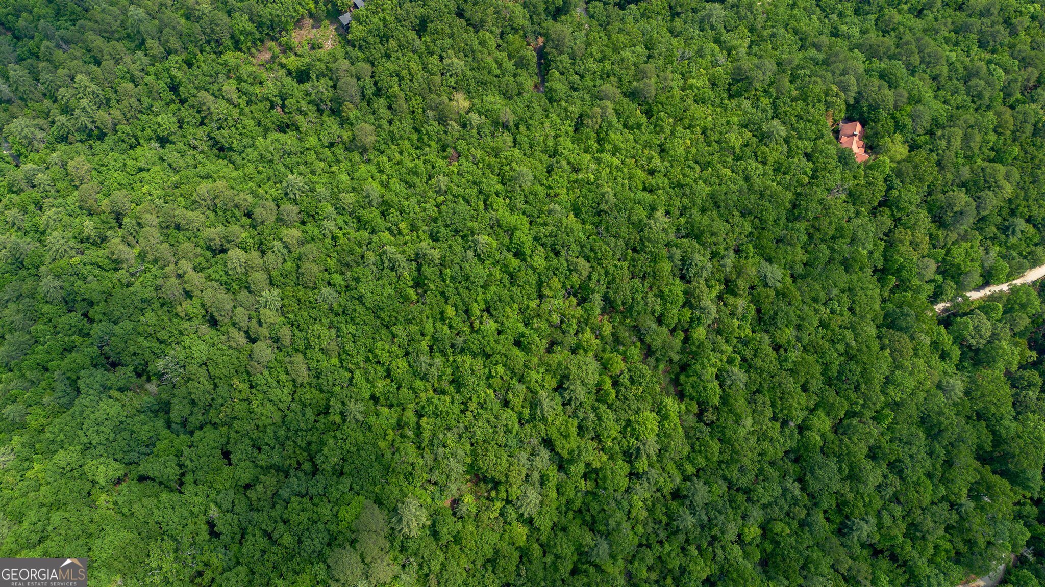 0 Grizzly Ridge Road Lakemont, GA 30552 - Photo 40 of 75