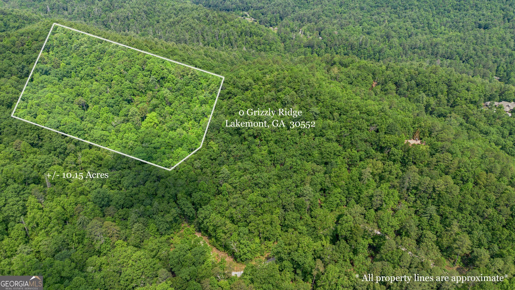 0 Grizzly Ridge Road Lakemont, GA 30552 - Photo 4 of 75 a view of a lush green forest with a street