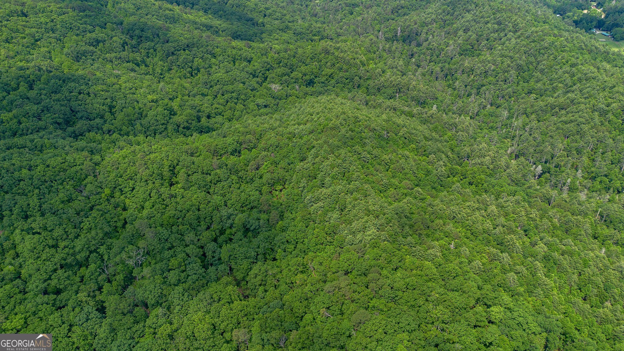 0 Grizzly Ridge Road Lakemont, GA 30552 - Photo 42 of 75 a view of a lush green forest