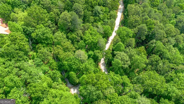 a view of a backyard of a house