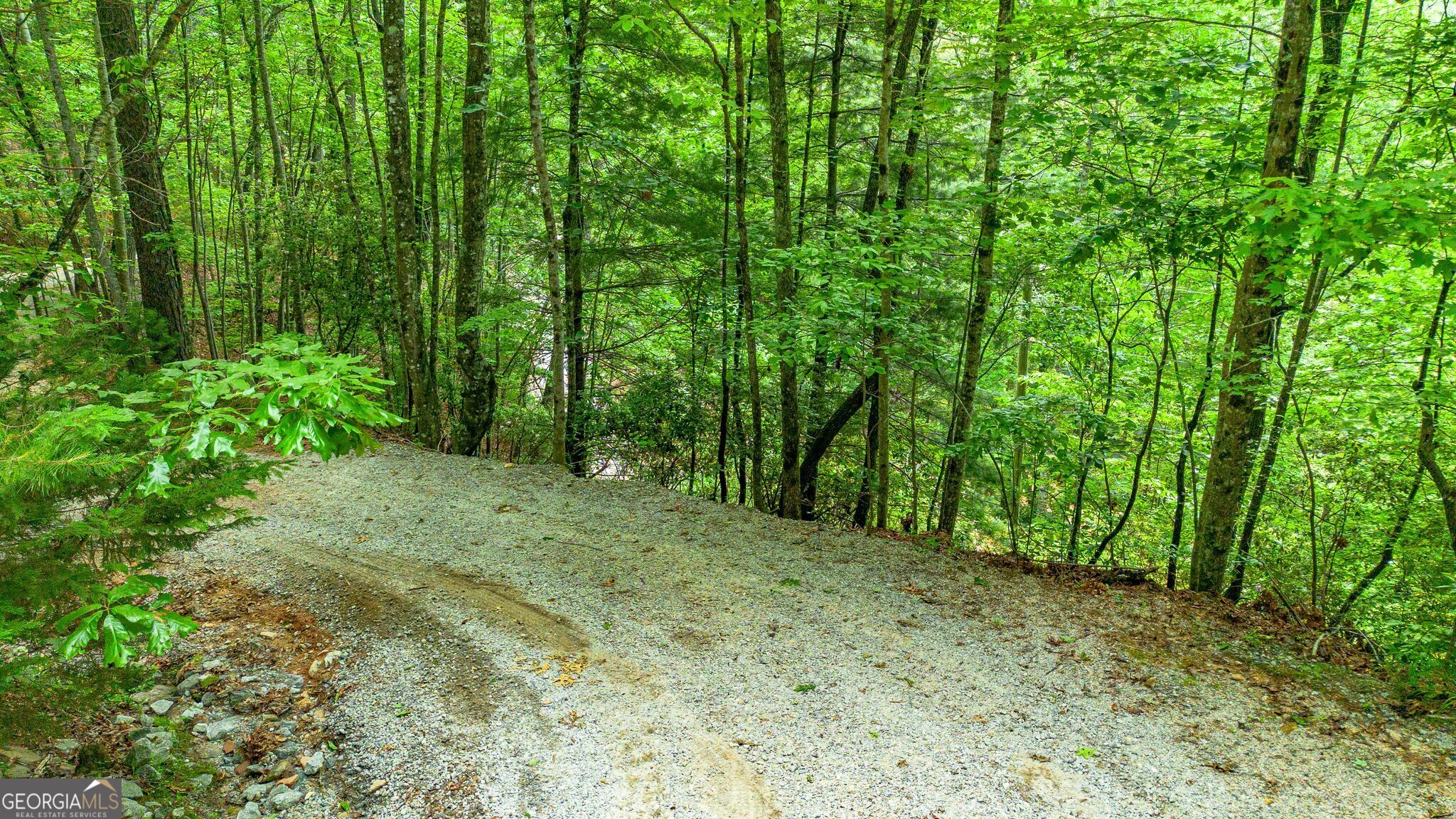 0 Grizzly Ridge Road Lakemont, GA 30552 - Photo 45 of 75 a big yard with lots of green space and deers