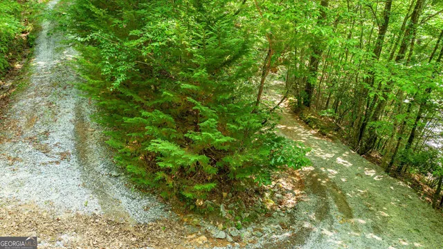 a view of a tennis court