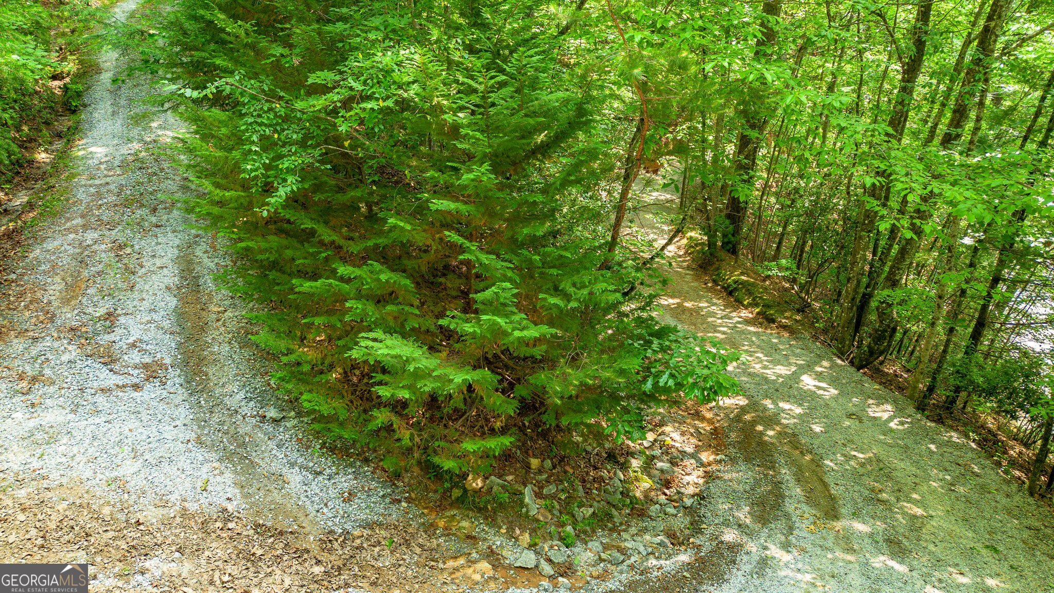 0 Grizzly Ridge Road Lakemont, GA 30552 - Photo 46 of 75 a view of a lush green forest