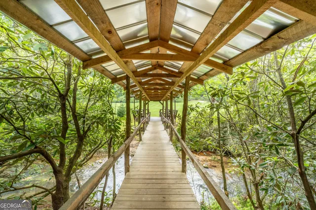 a view of a yard with trees