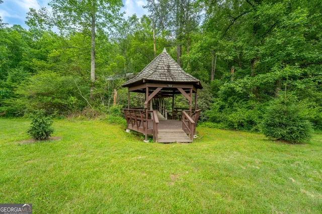 a view of a yard with plants and large trees
