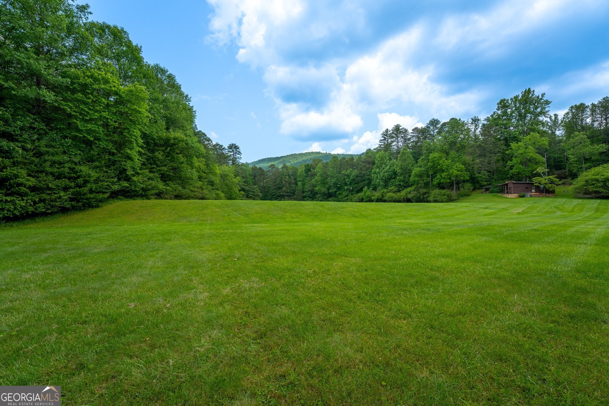 0 Grizzly Ridge Road Lakemont, GA 30552 - Photo 50 of 75 a view of a grassy field with trees in the background