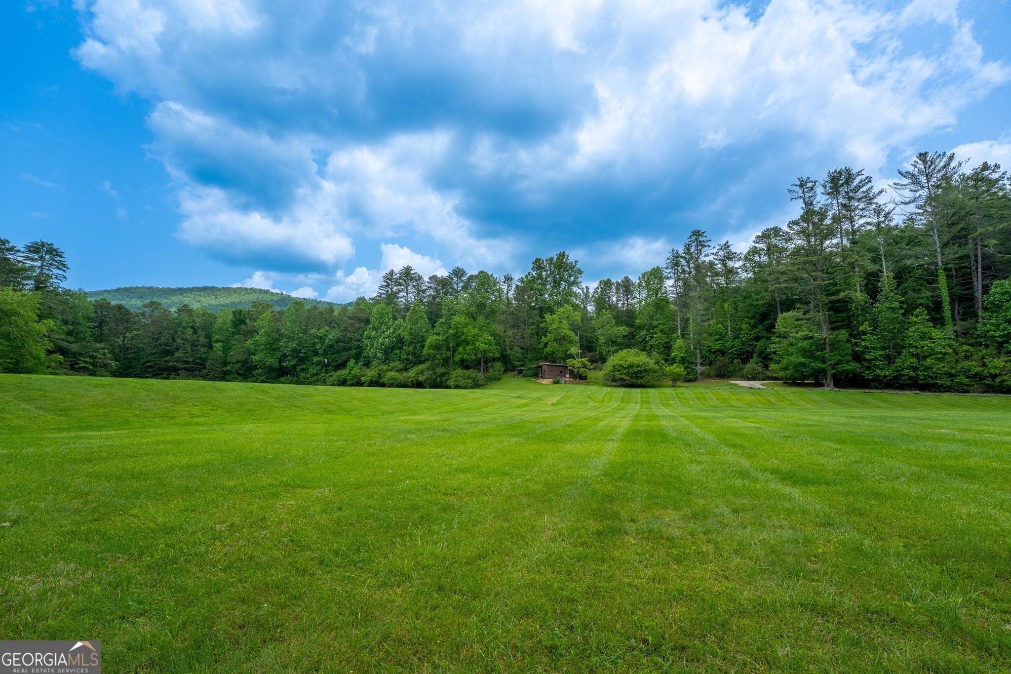 0 Grizzly Ridge Road Lakemont, GA 30552 - Photo 51 of 75 a view of a big yard with a large trees
