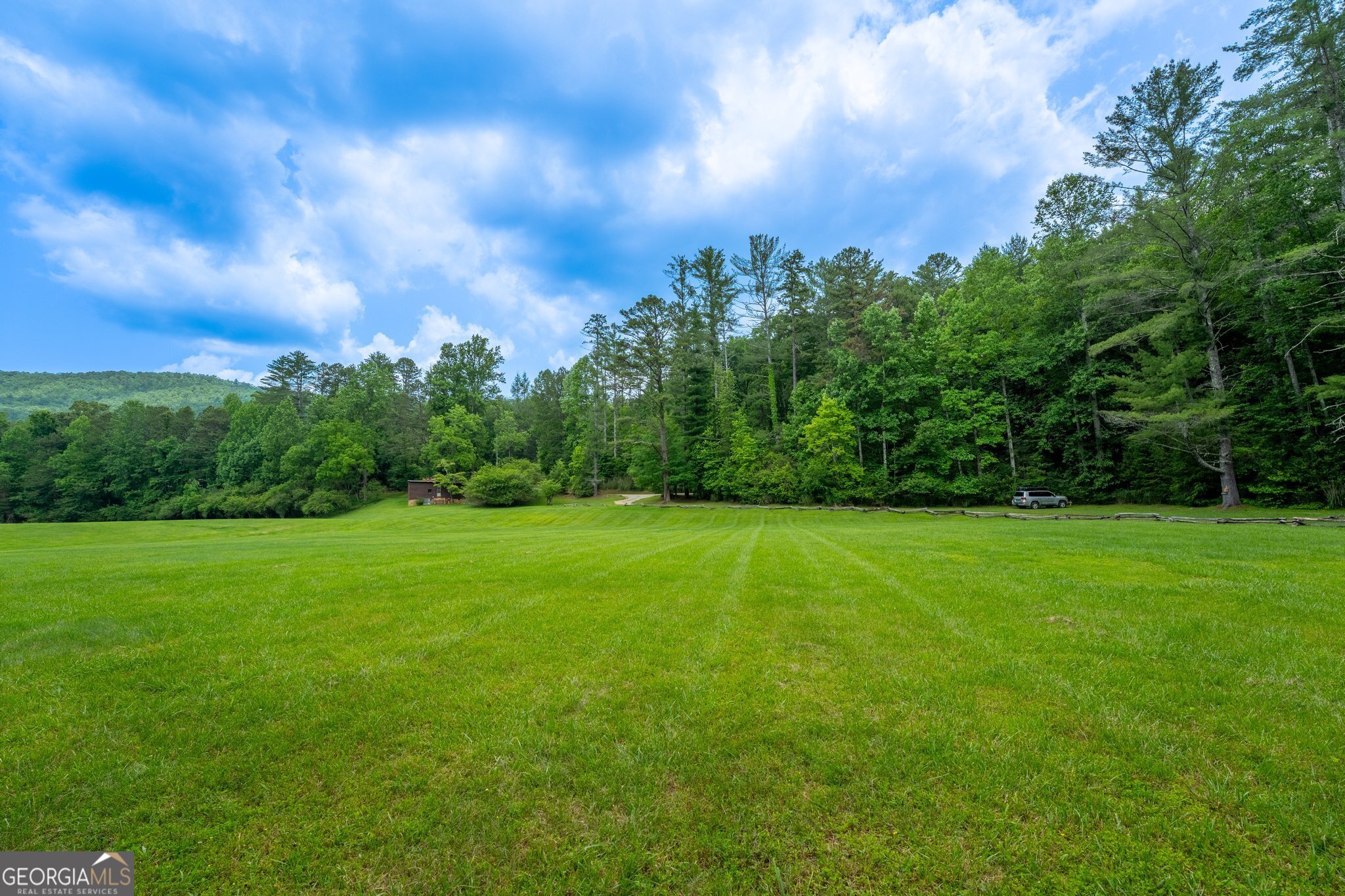 0 Grizzly Ridge Road Lakemont, GA 30552 - Photo 53 of 75 a view of a big yard with a large trees