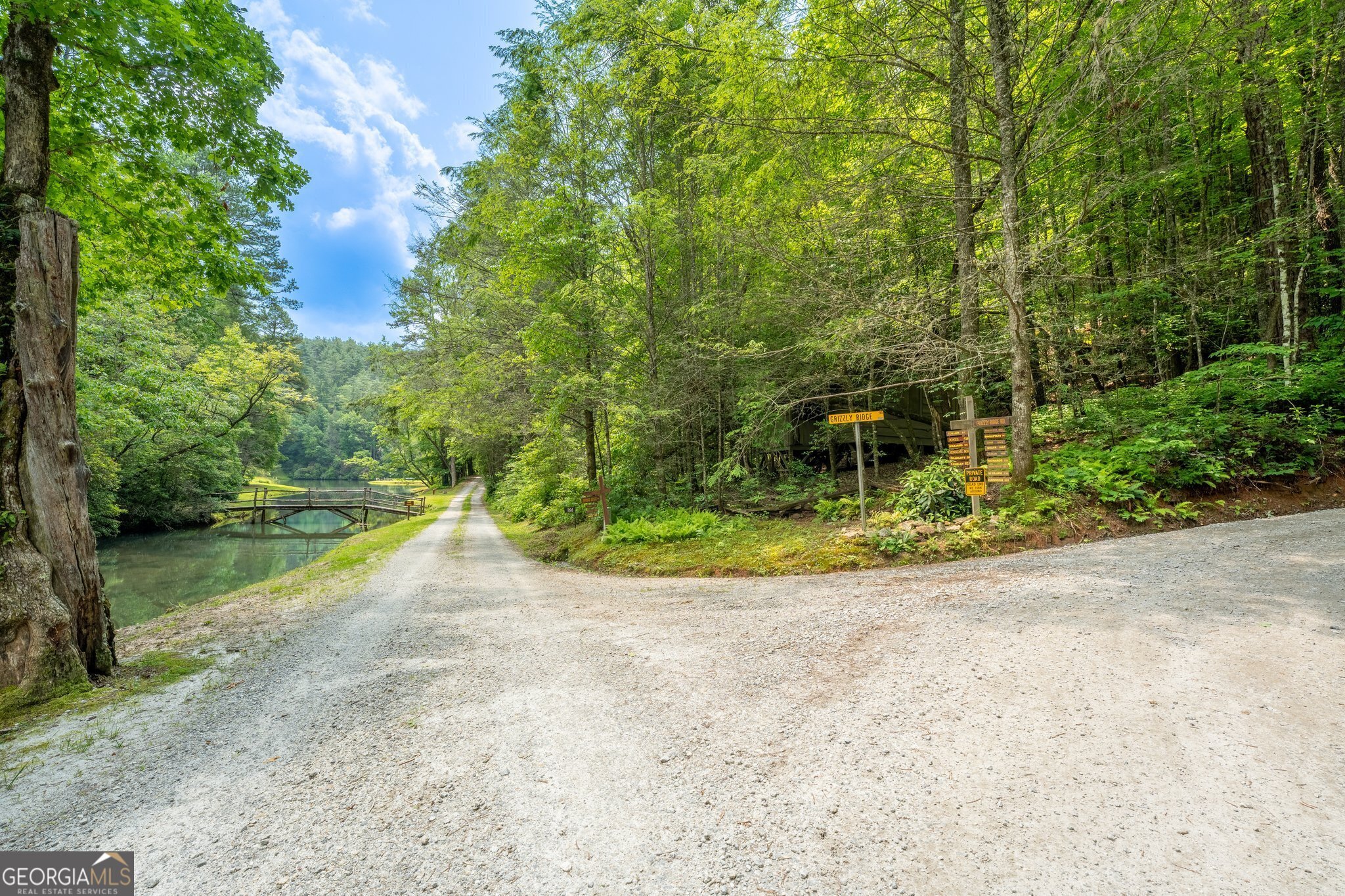 0 Grizzly Ridge Road Lakemont, GA 30552 - Photo 6 of 75 a view of a trees with a yard