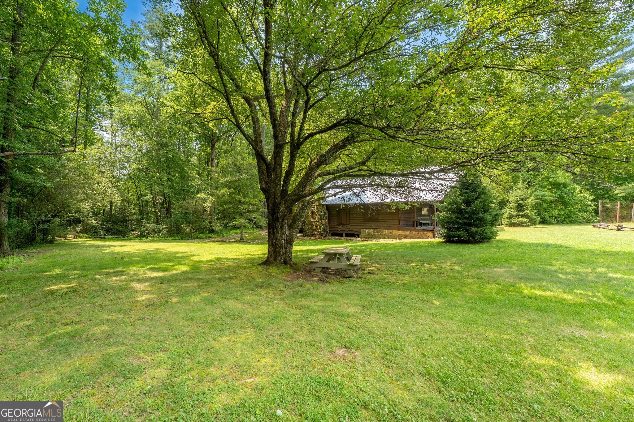 0 Grizzly Ridge Road Lakemont, GA 30552 - Photo 64 of 75 a view of a trees in a yard