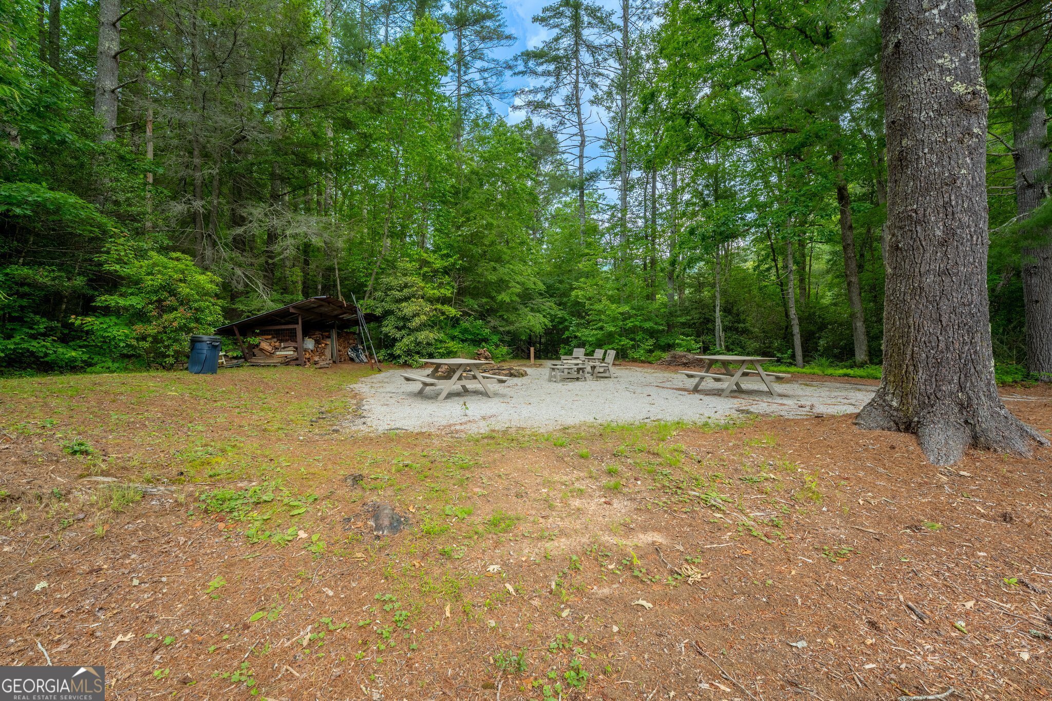 0 Grizzly Ridge Road Lakemont, GA 30552 - Photo 69 of 75 a view of a yard with trees