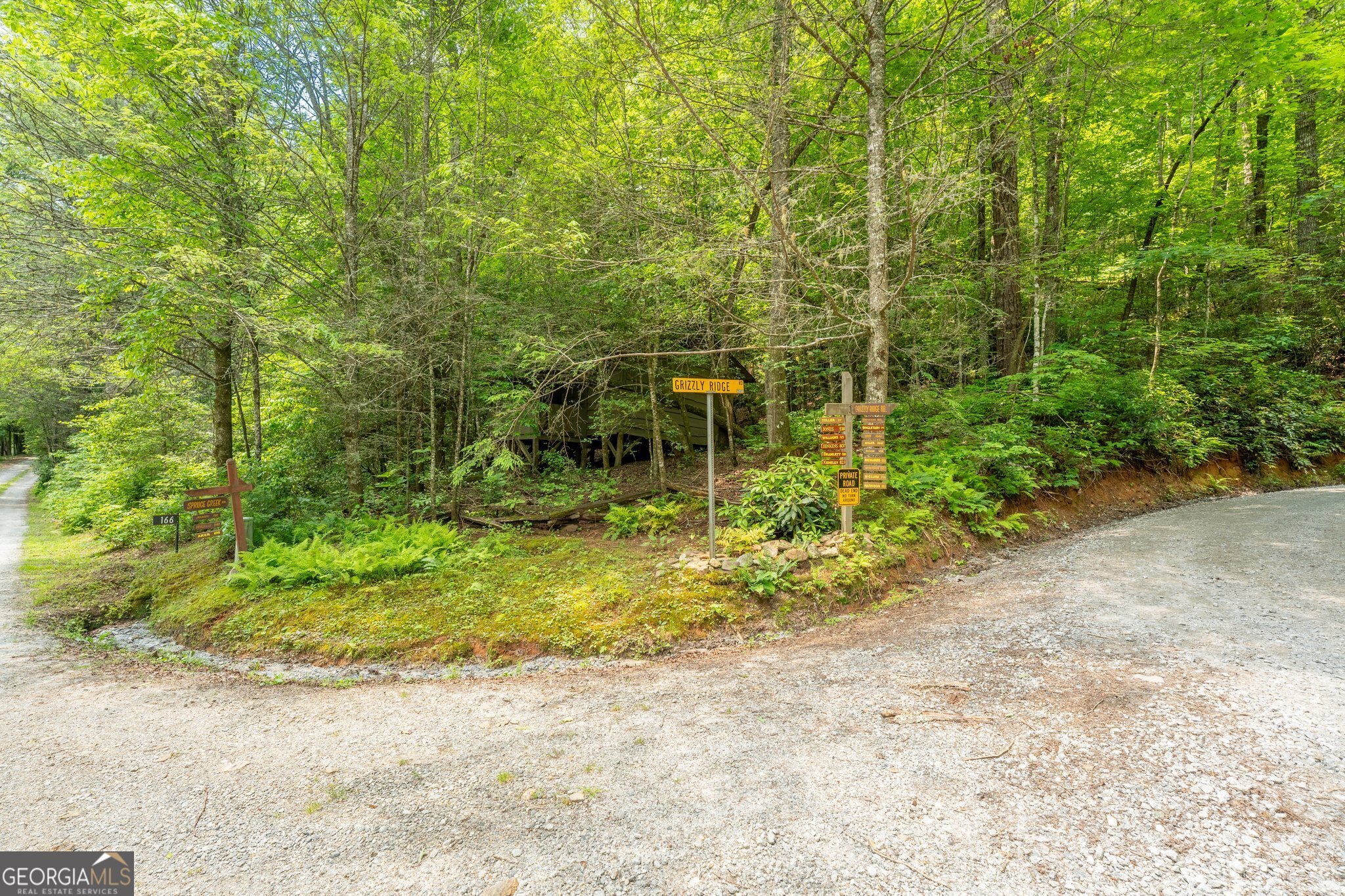 0 Grizzly Ridge Road Lakemont, GA 30552 - Photo 7 of 75