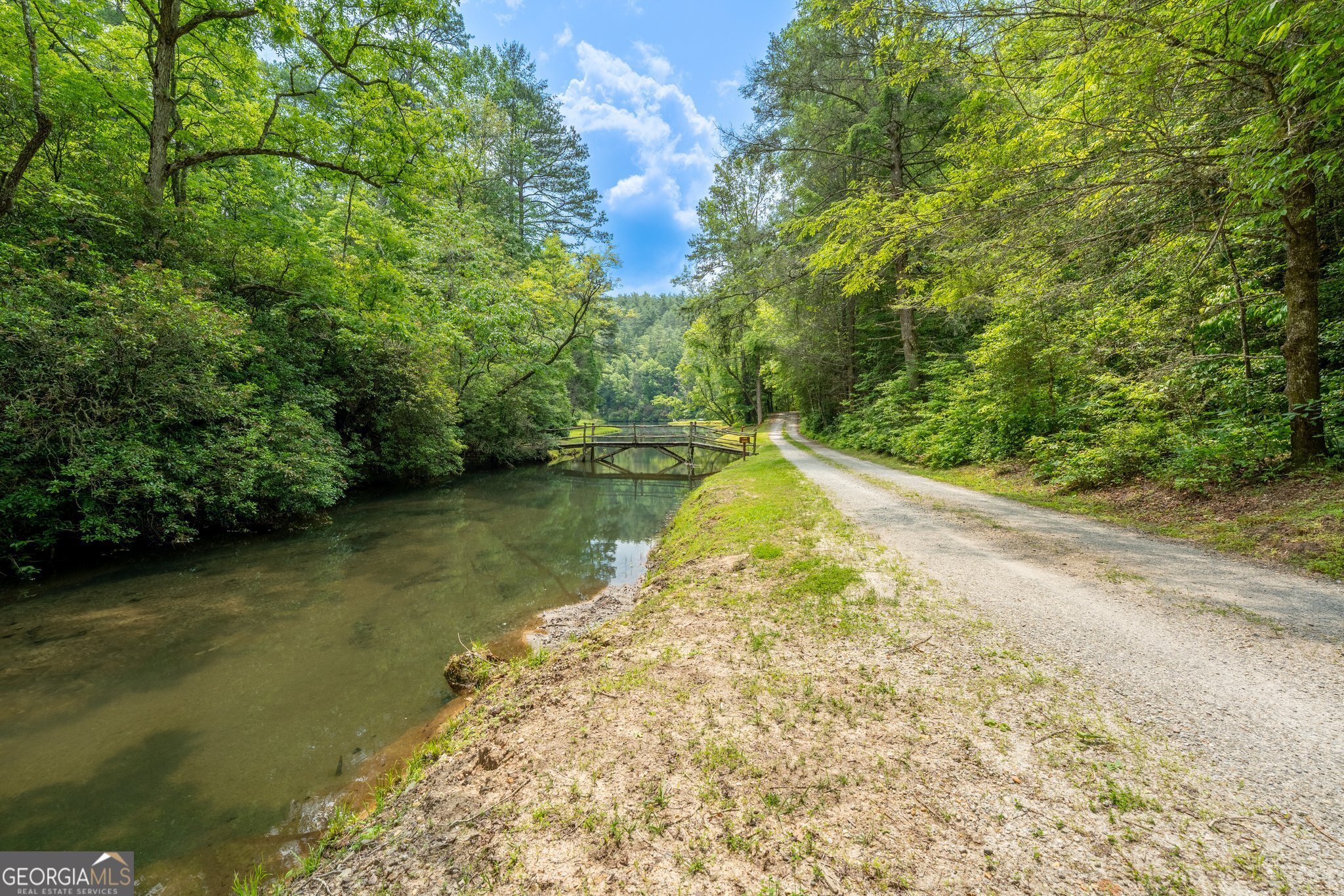 0 Grizzly Ridge Road Lakemont, GA 30552 - Photo 8 of 75