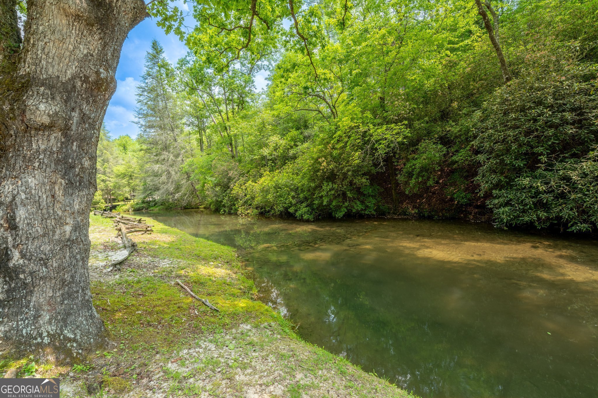 0 Grizzly Ridge Road Lakemont, GA 30552 - Photo 9 of 75 a view of yard with swimming pool