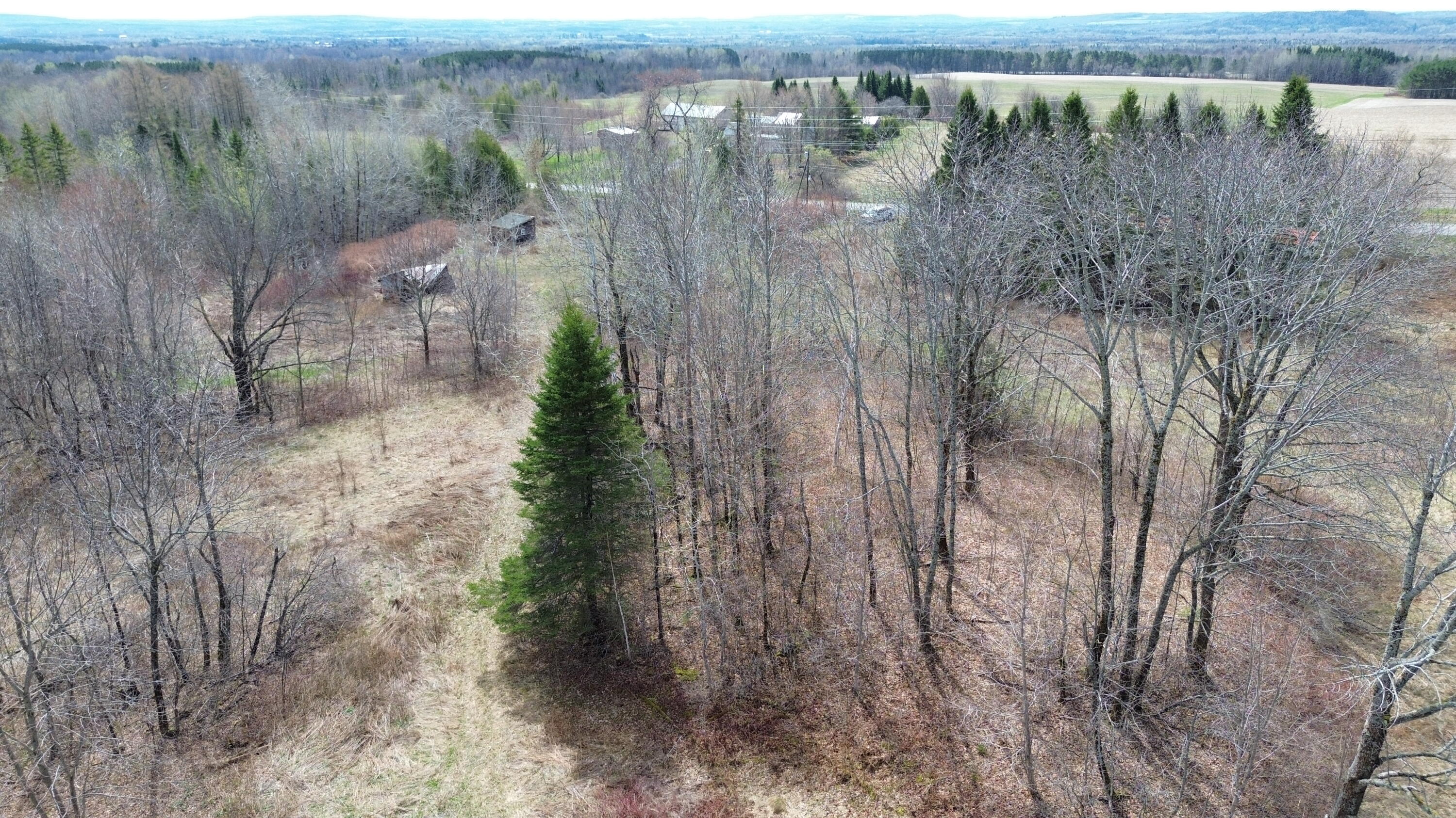 1063 Ludlow Road Ludlow, ME 04730 - Photo 6 of 36 DJI_0764