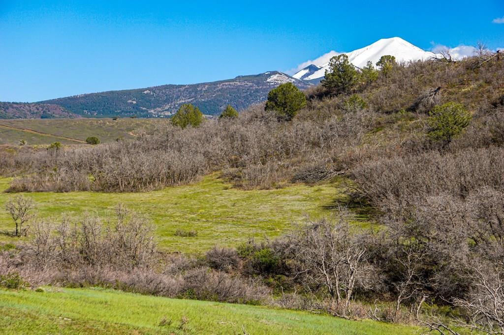Tbd Tbd Rilling Canyon Road La Veta, CO 81055 - Photo 29 of 33