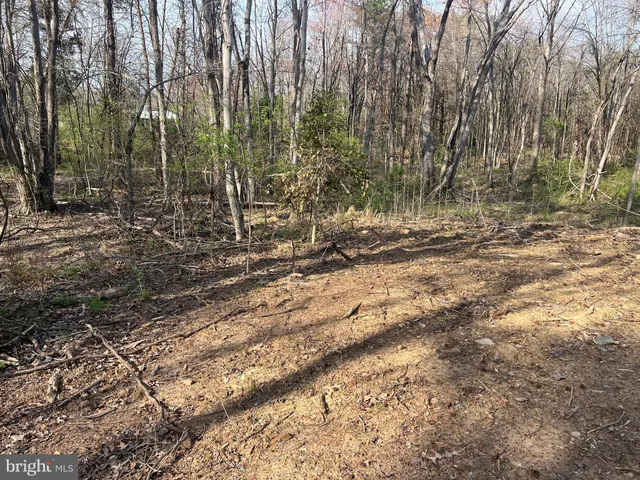 $120,000 | Historic Lane, Mineral, VA 23117