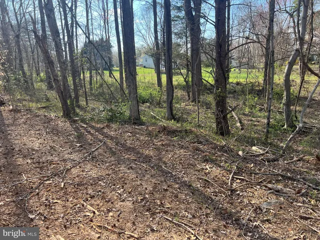 $120,000 | Historic Lane, Mineral, VA 23117