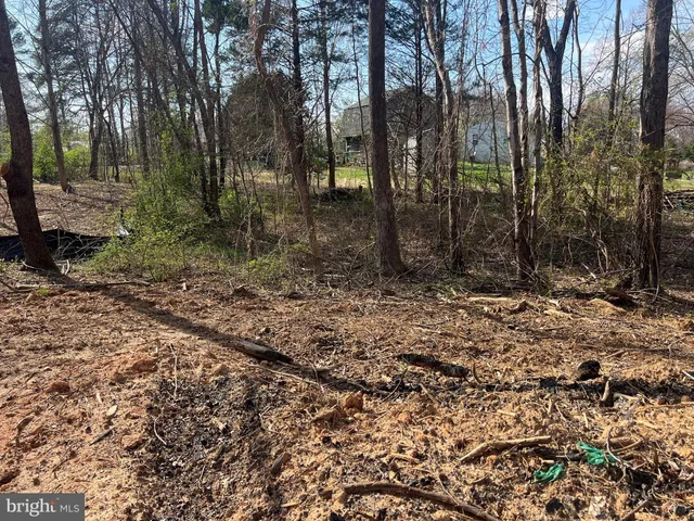 $120,000 | Historic Lane, Mineral, VA 23117