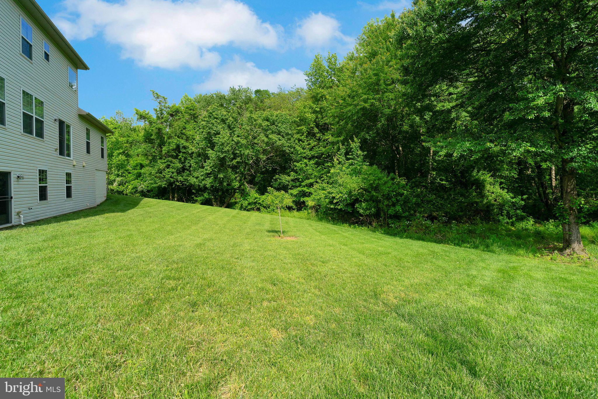11305 Springpark Court Laurel, MD 20708 - Photo 44 of 48 Large Backyard Looks Out to Woods