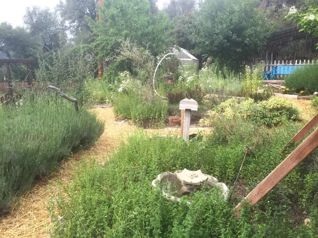 a view of a house with large trees and stairs