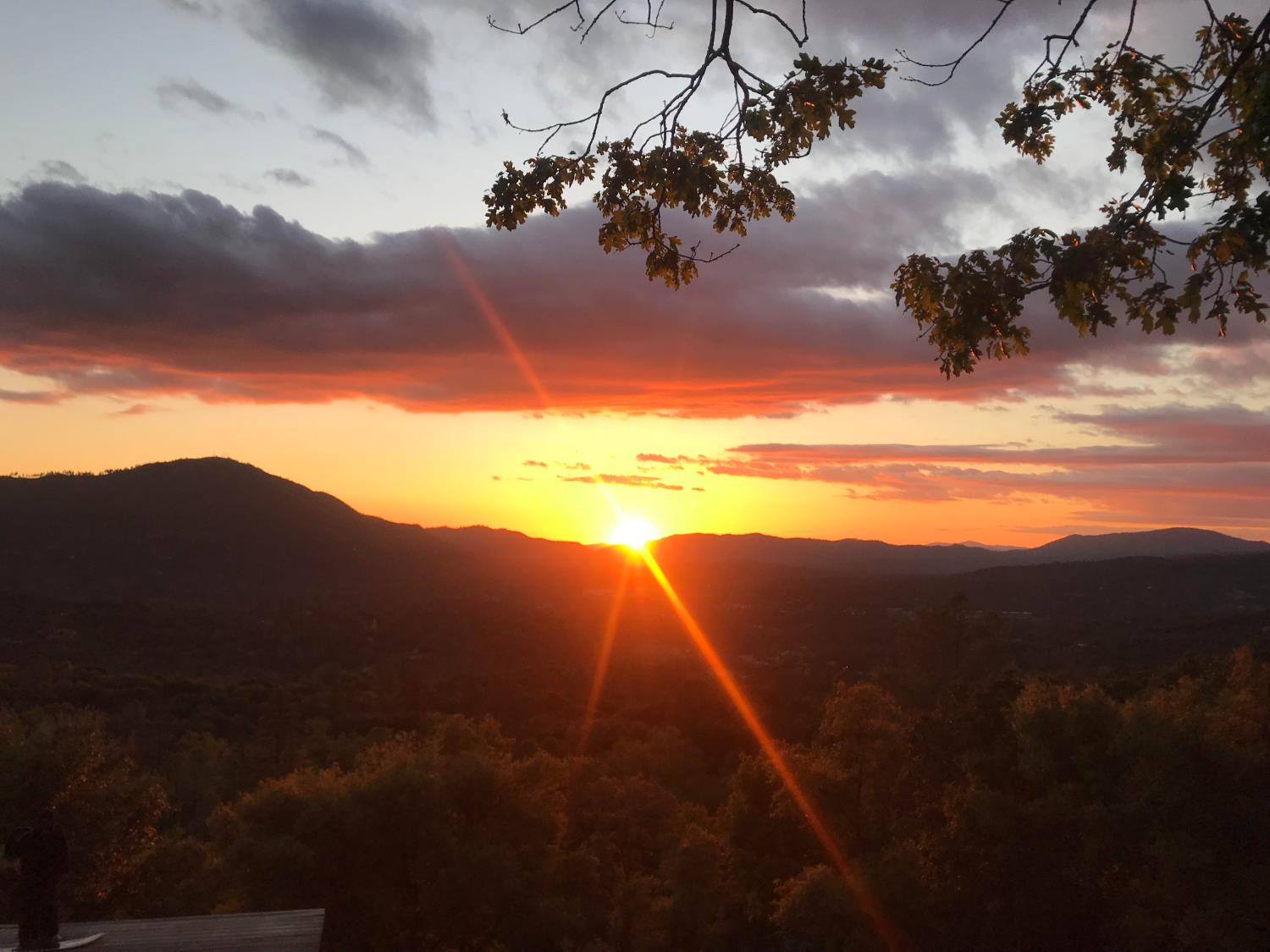 51571 Coyote Ridge Road Oakhurst, CA 93644 - Photo 59 of 81