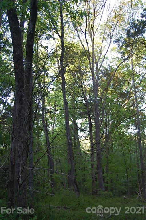 1 Plaza Rd Extension Charlotte, NC 28215 - Photo 6 of 11 a view of forest