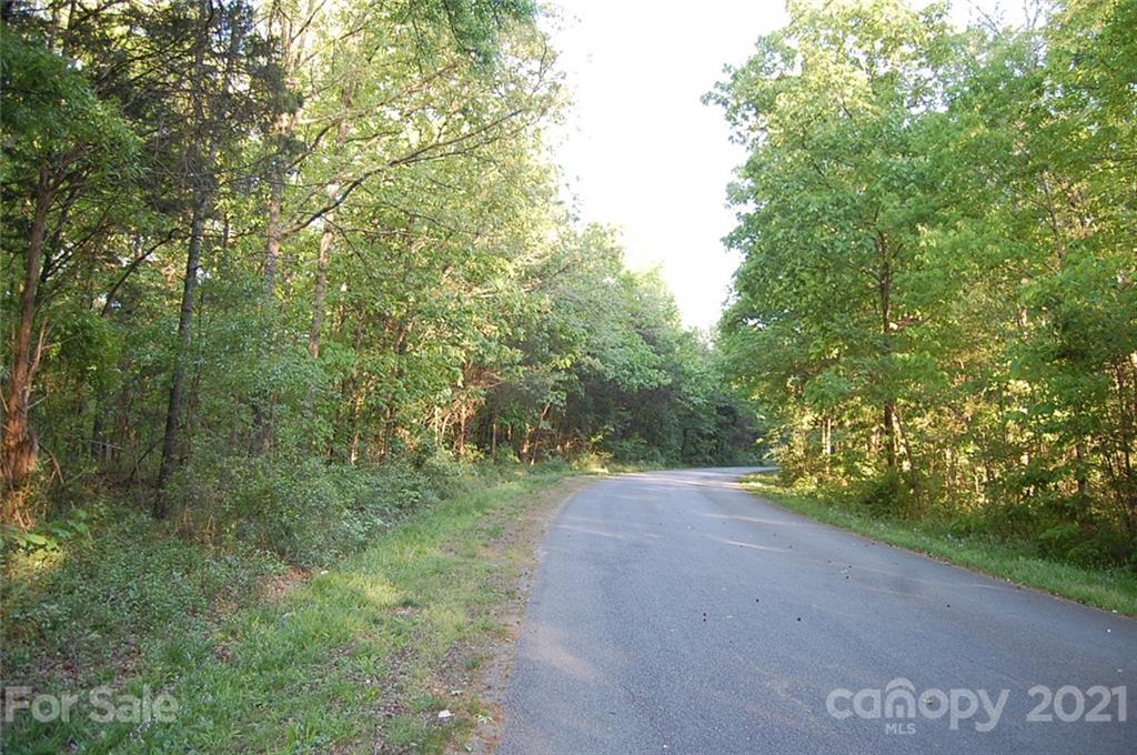 1 Plaza Rd Extension Charlotte, NC 28215 - Photo 10 of 11 a view of a forest with trees in the background