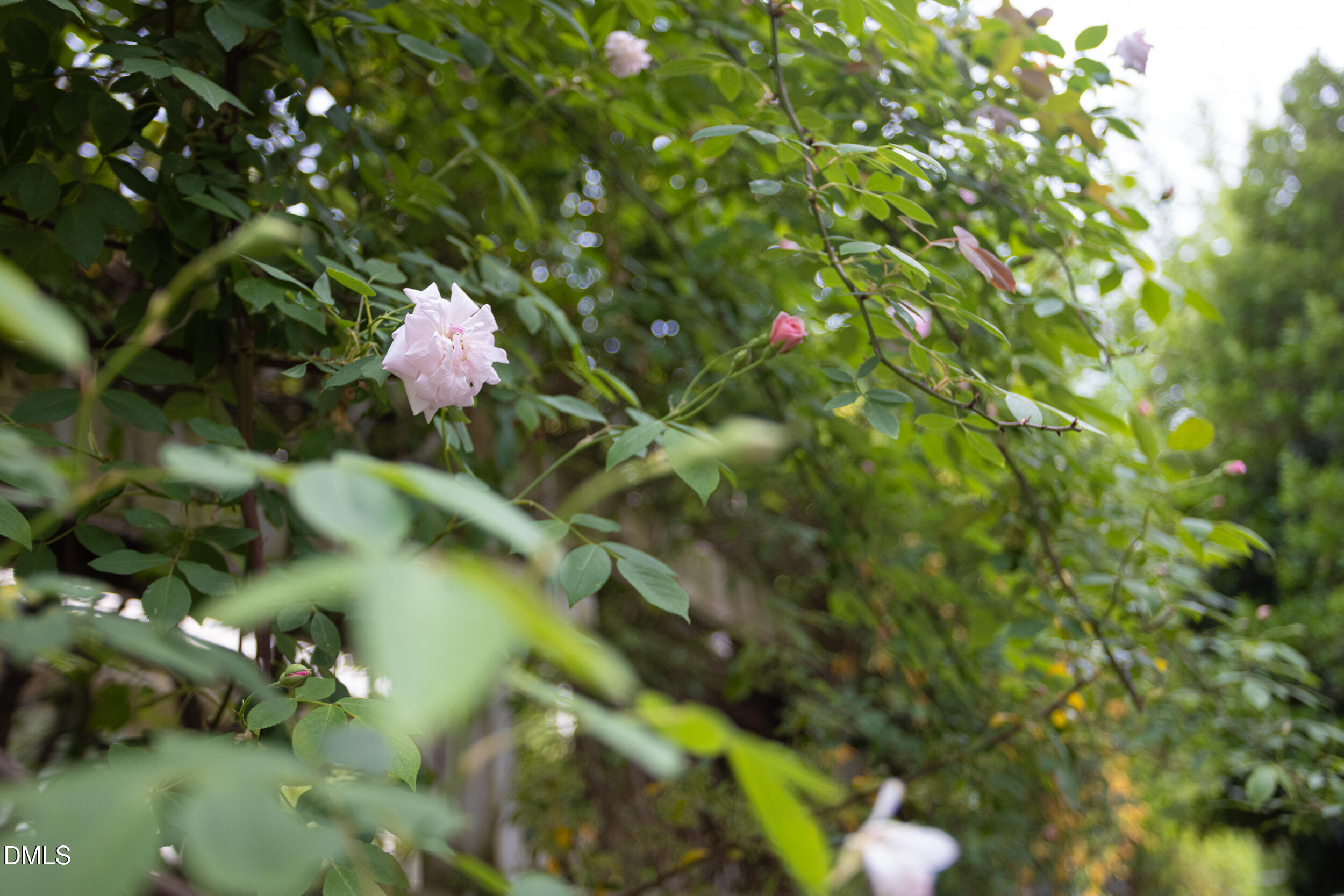 3611 Rugby Road Durham, NC 27707 - Photo 72 of 78