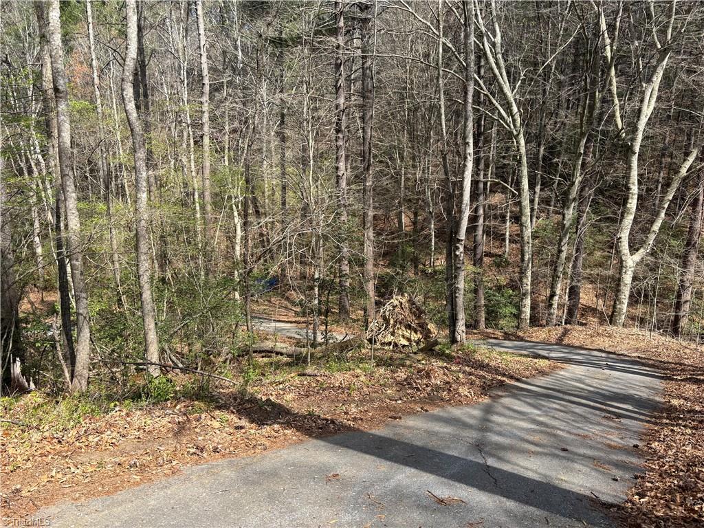 647 Boone Gap Road Boomer, NC 28606 - Photo 16 of 22