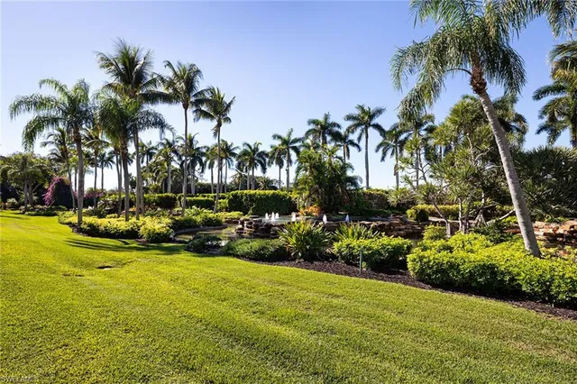 a view of a park with palm trees