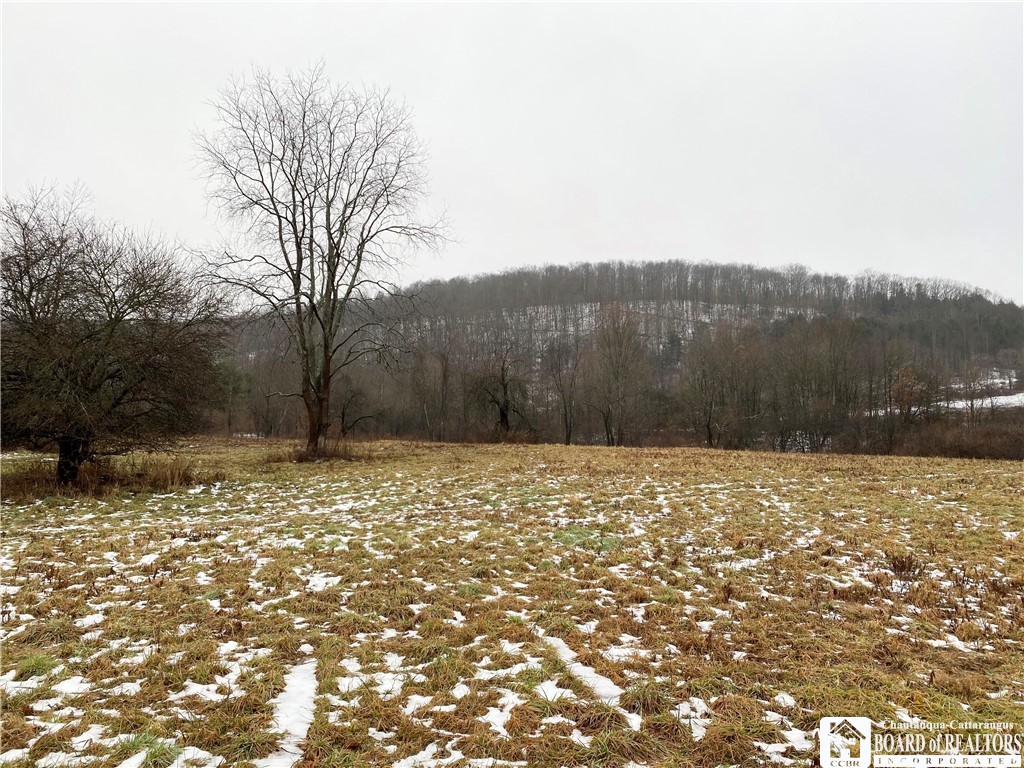 381 Ivory Road Carroll, NY 14738 - Photo 1 of 1