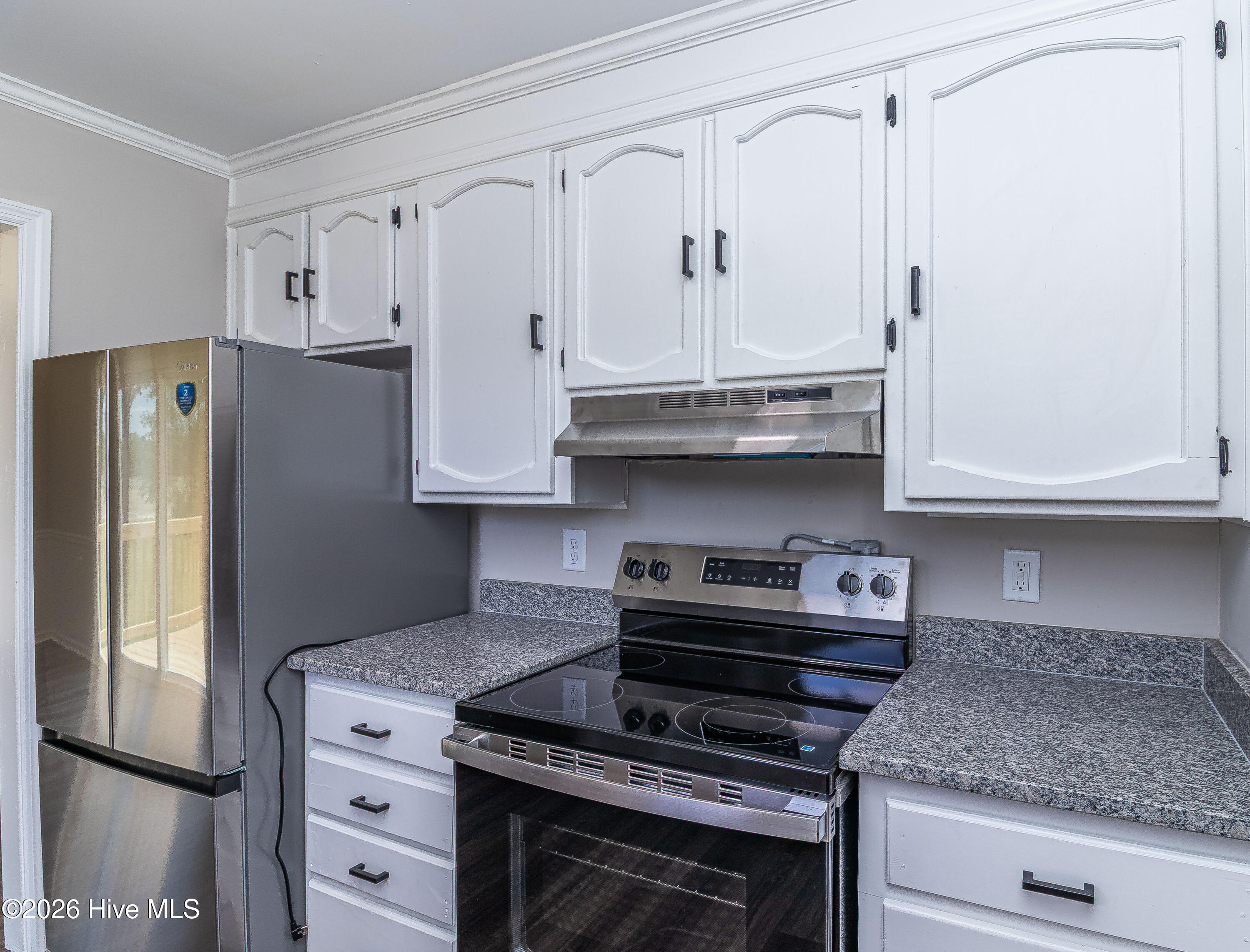 358 White Flash Road Mount Olive, NC 28365 - Photo 9 of 19