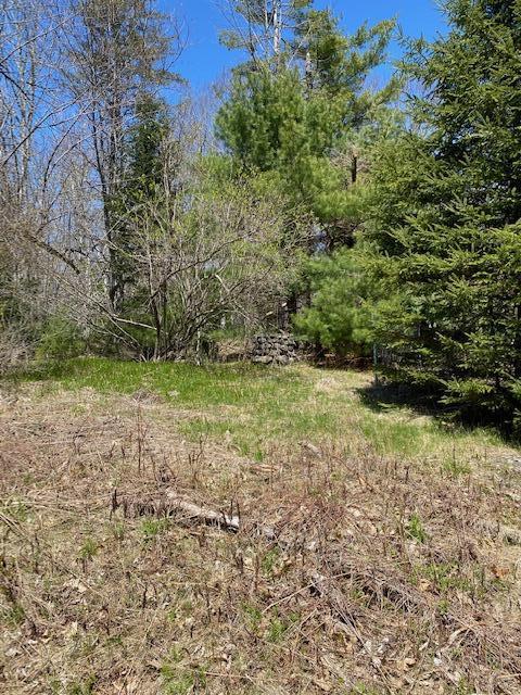 0 Mast Hill Road Bucksport, ME 04416 - Photo 7 of 11 IMG_1695