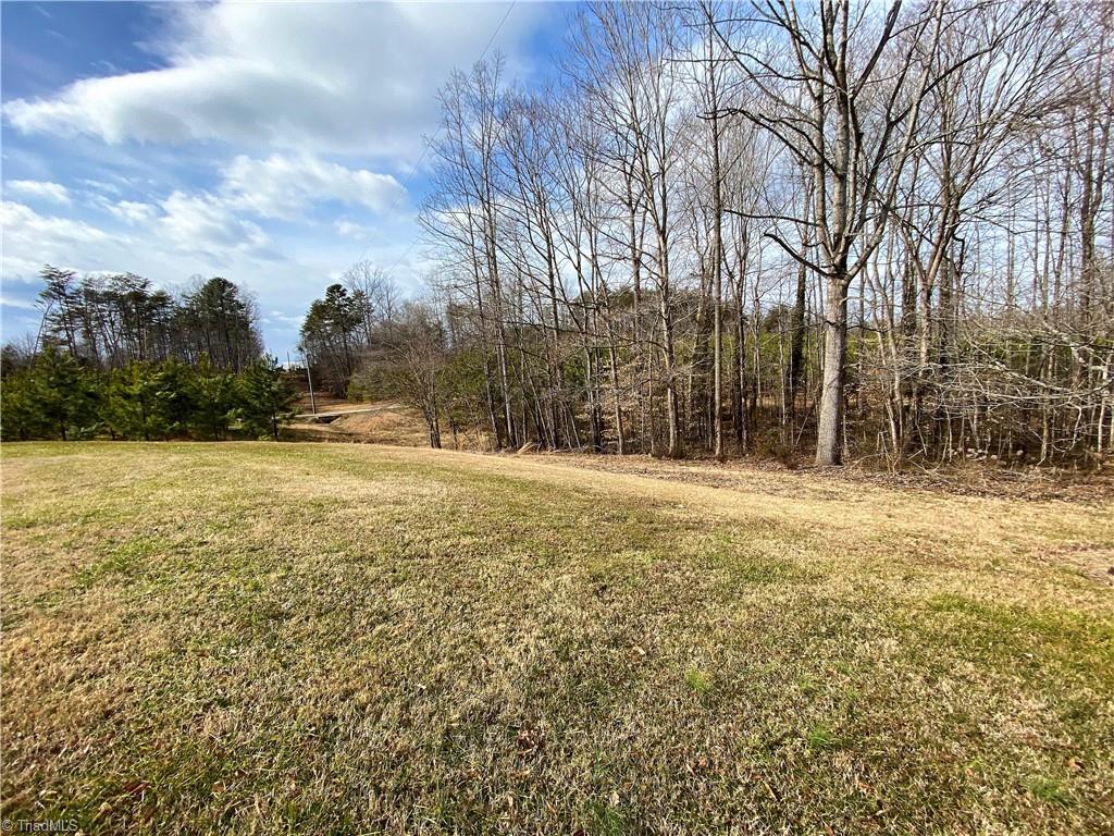 933 Lemons Road Stokesdale, NC 27357 - Photo 28 of 33 Back yard