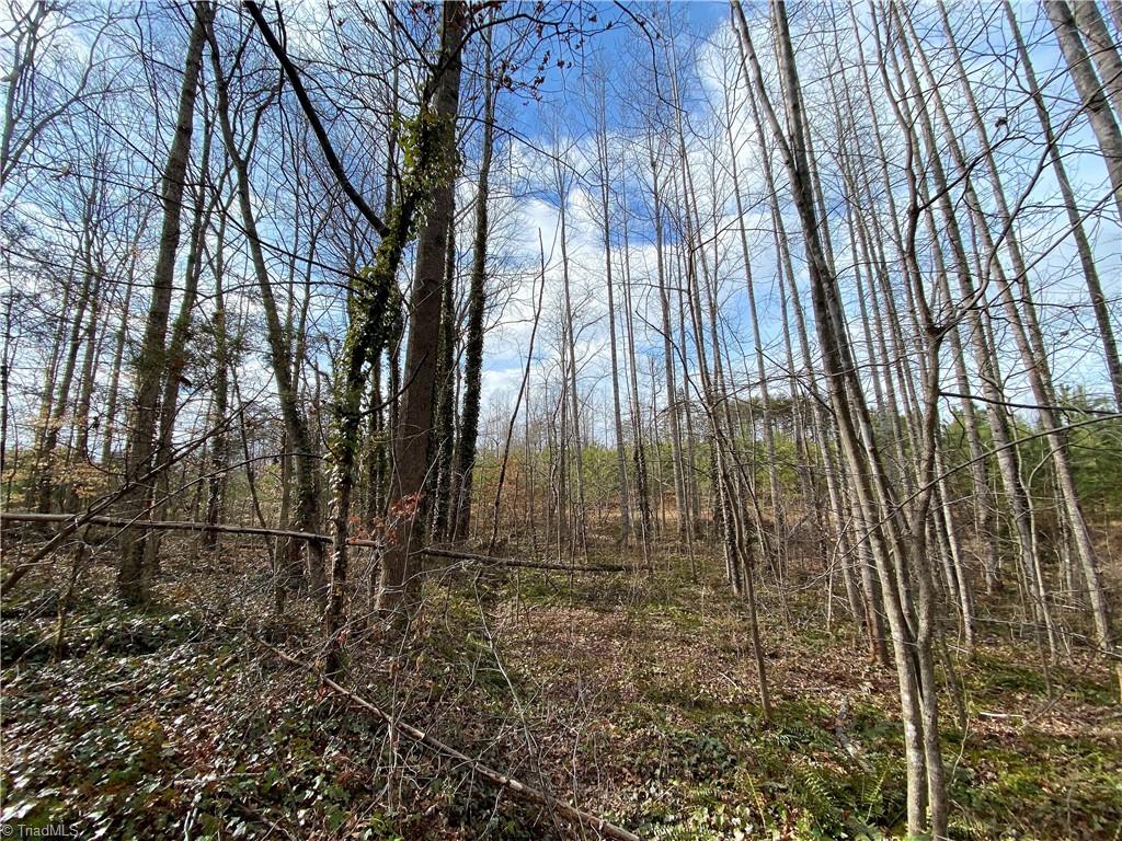933 Lemons Road Stokesdale, NC 27357 - Photo 30 of 33 Wooded portion of parcel