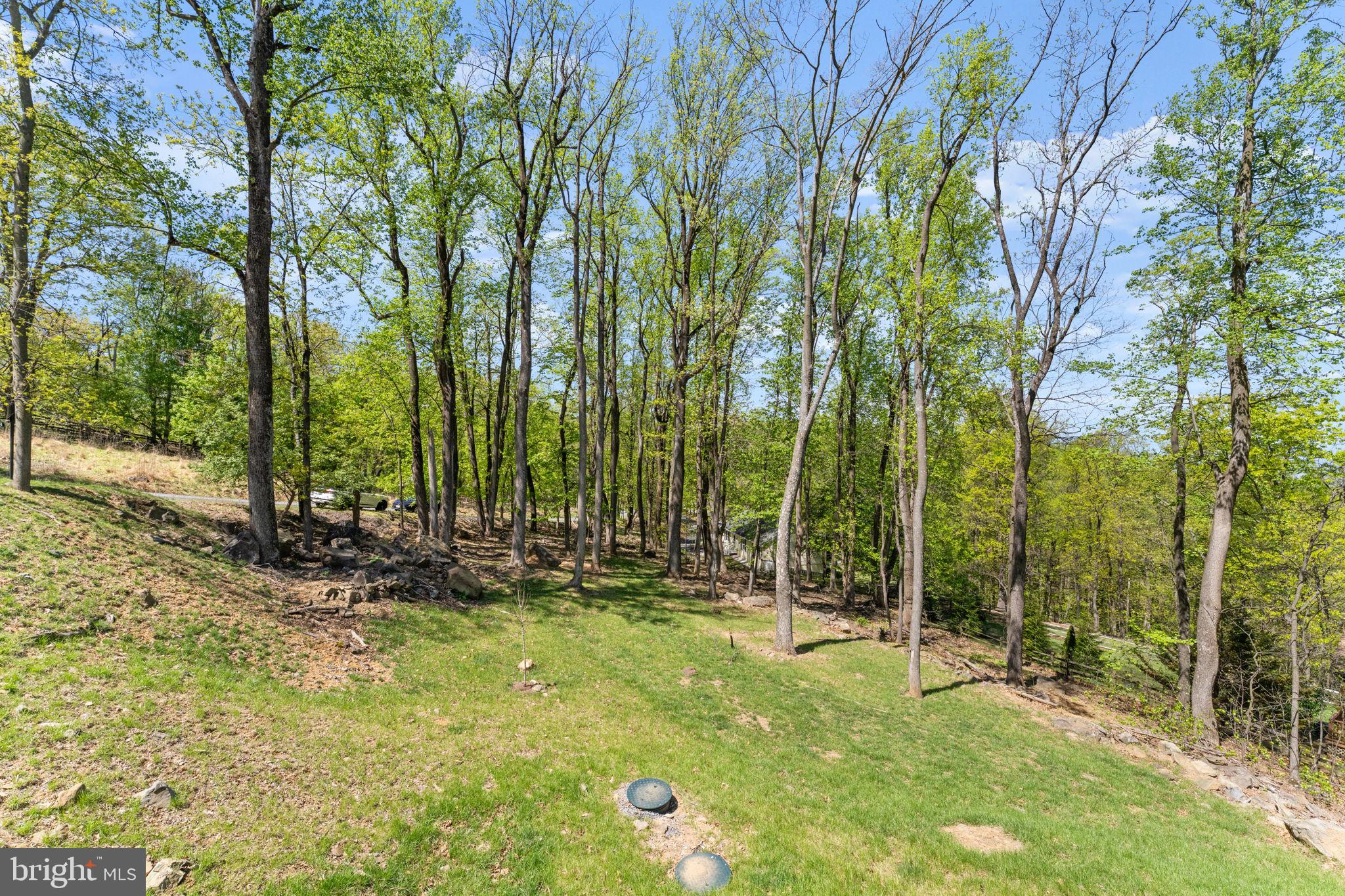 753 Club House Road Front Royal, VA 22630 - Photo 68 of 98