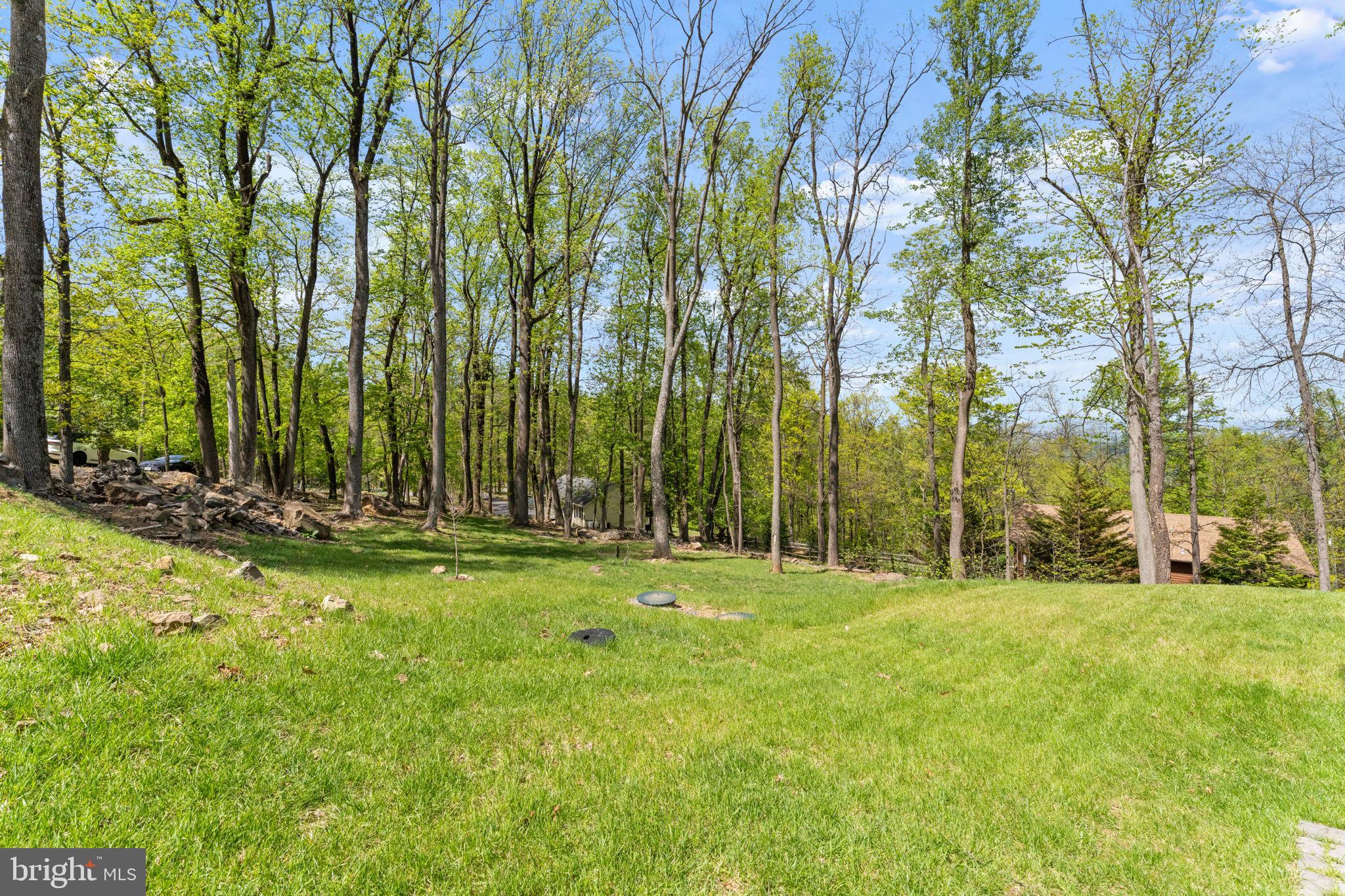 753 Club House Road Front Royal, VA 22630 - Photo 88 of 98