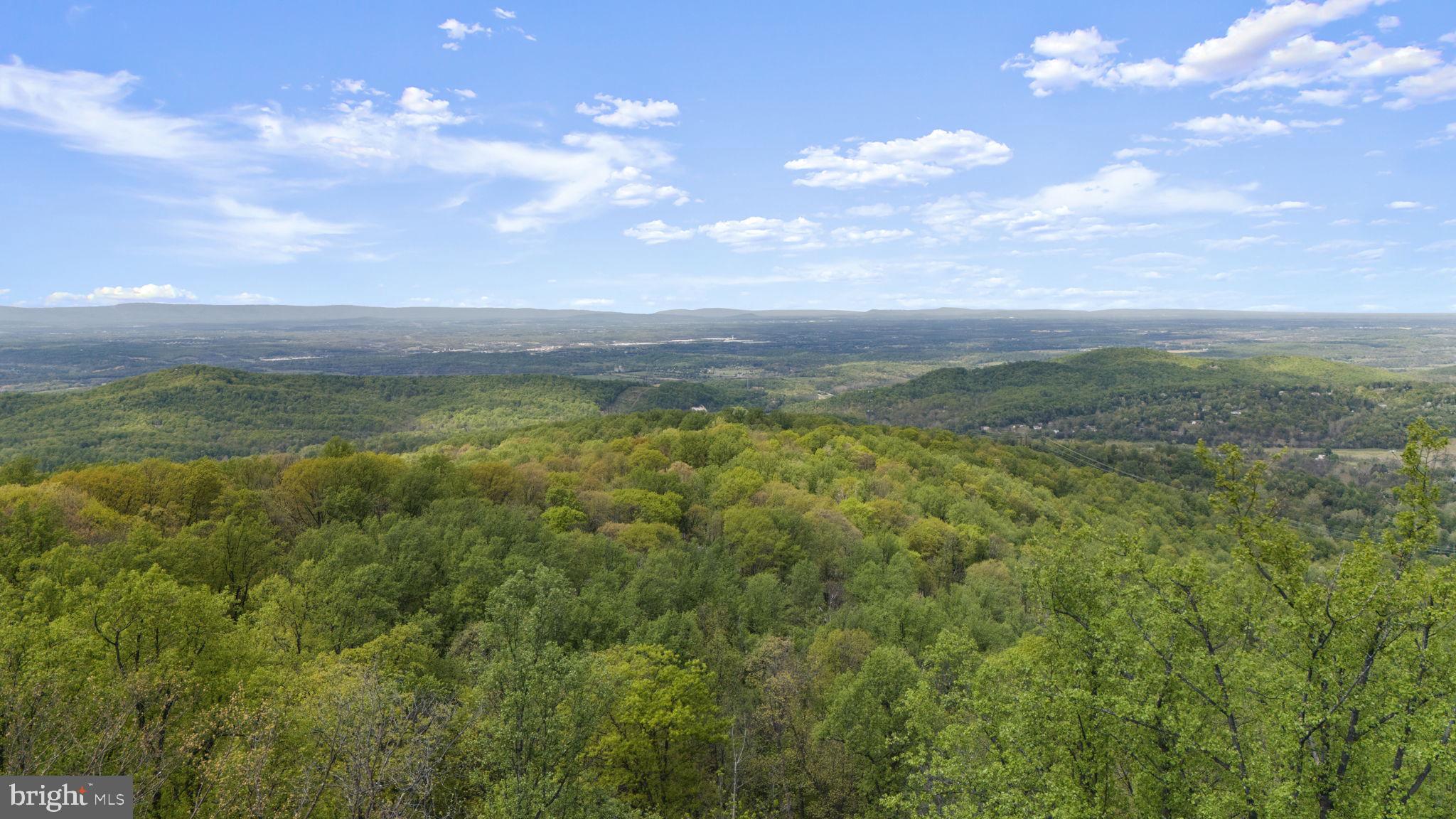 753 Club House Road Front Royal, VA 22630 - Photo 91 of 98 Breathtaking Views!
