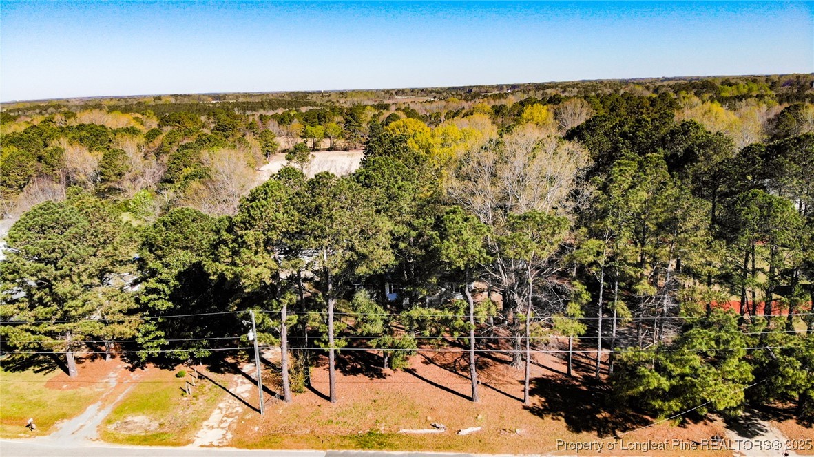 488 Hall Road Erwin, NC 28339 - Photo 39 of 39