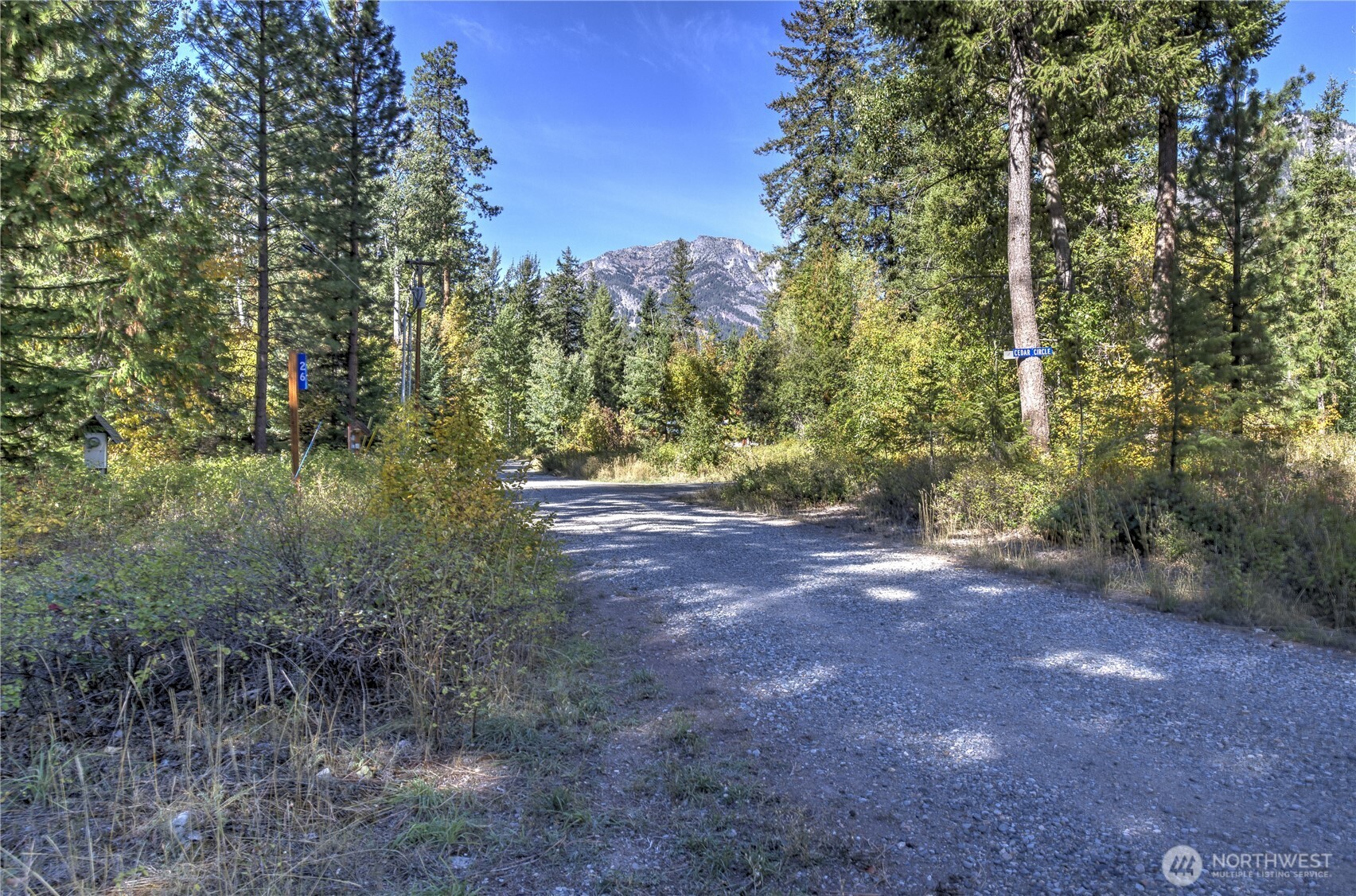 26 Mercer Road Mazama, WA 98833 - Photo 30 of 40 a view of outdoor space and trees