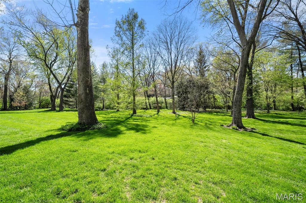 201 Warson Road St. Louis, MO 63124 - Photo 77 of 85